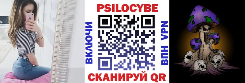 Купить закладки  Чаплыгин  Псилоцибиновые грибы GOLDEN TEACHER 